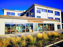 Vétérinaire scanner et endoscopie pour chien Aubagne 13400